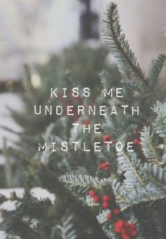 the words kiss me underneath the mistletoe