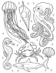 an image of sea animals coloring pages