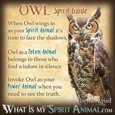 an owl with the words owl spirit guide