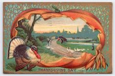 an old thanksgiving postcard with a turkey