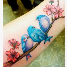 two blue birds sitting on a branch with pink flowers