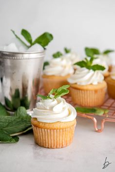 cupcakes with white frosting and green leaves on a cooling rack next to a mint sprig