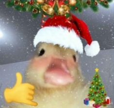 a duck wearing a santa claus hat and holding a christmas tree in front of him