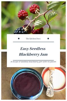 blackberry jam with berries on it and the words easy seedless blackberry jam