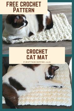 a cat laying on top of a crochet mat with text overlay that reads free crochet pattern