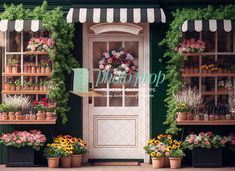 a store front with many potted plants and flowers