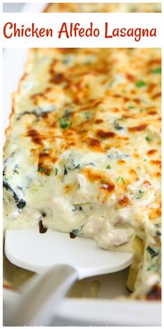 chicken alfredo lasagna on a white plate with a serving utensil next to it