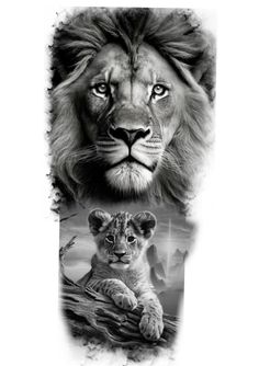 two pictures of lions and one is in black and white with the same image on it