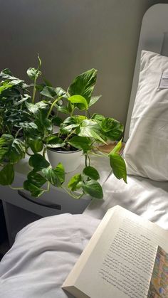 a plant in a white pot sitting on top of a bed next to an open book