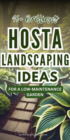 hosta landscaping ideas for low maintenance garden with text overlay that reads, 15 brilliant hosta landscaping ideas for low maintenance garden