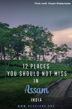 the words, 12 places you should not miss in assan india