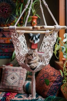 a cat is laying in a hammock hanging from a wooden pole and surrounded by potted plants