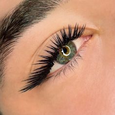 Types Of Eyelash Extensions, Evening Eye Makeup, Brand Instagram, Lashes Fake Eyelashes, Professional Eyelash Extensions, Cat Eye Lash, Eyelash Extensions Styles, Perfect Eyelashes