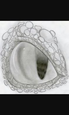 an eye is shown in this drawing