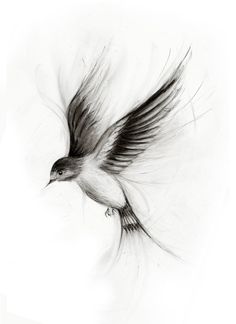 a black and white drawing of a bird flying