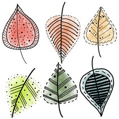 four different types of leaves on a white background