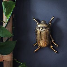 a gold frog sitting on top of a black wall next to a green leafy plant