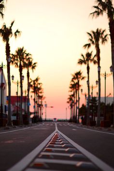 an empty street lined with palm trees at sunset