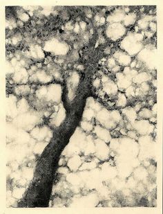 a black and white photo of a tree with clouds in the sky behind it, taken from above