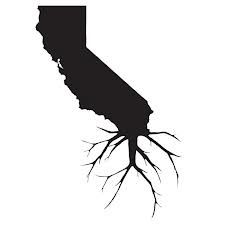 a black and white silhouette of the state of california with roots growing out of it