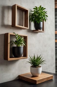 three planters are mounted on the wall with wooden shelves and one is holding two plants