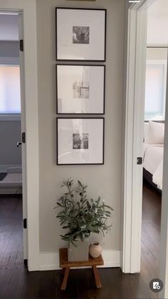 a white room with pictures on the wall and a potted plant