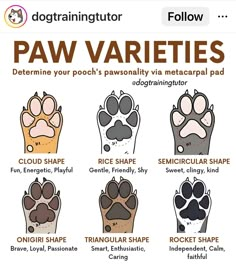 the paw varieties are shown in this graphic