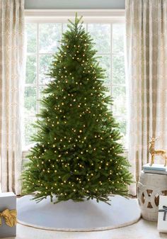 King of Christmas 9' King Fraser Fir Quick-Shape Artificial Christmas Tree with 1200 Warm White & Multi-Color LED Lights 12 Foot Christmas Tree, Wooden Garden Bed, Frasier Fir, Fraser Fir, Artificial Christmas Trees, Warm White Led Lights, Metal Tree, White Tree, Holiday Magic