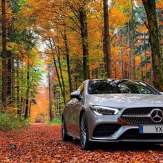 a silver car parked on top of a leaf covered road in front of some trees