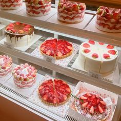 a display case filled with lots of different types of cakes and pies on top of it