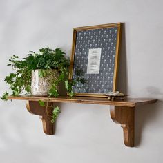 a potted plant sitting on top of a wooden shelf next to a framed photograph