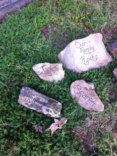 some rocks with writing on them sitting in the grass