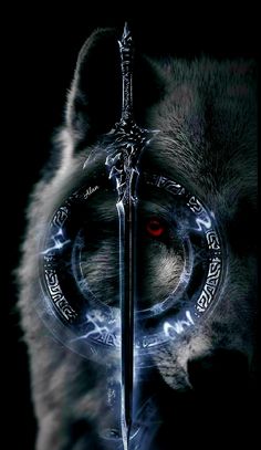 Image Joker, Dark Fantasy Artwork, Fantasy Wolf, Wolf Spirit Animal, Big Cats Art, Wolf Wallpaper, Wolf Spirit, Dark Phone Wallpapers