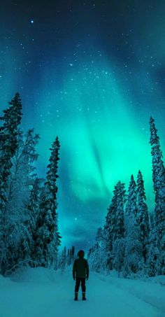 a man standing in the middle of a snow covered forest under an aurora borel