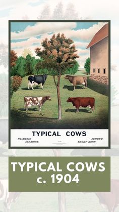 an advertisement for typical cows from the early 1900's, with pictures of different animals