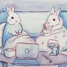 two rabbits sitting on a couch next to each other with laptops in front of them