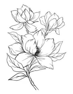 some flowers that are drawn in black and white