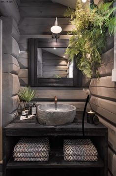 a bathroom sink sitting under a mirror next to a potted plant on top of a wooden shelf