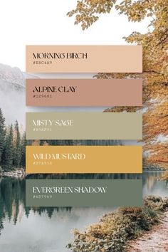 the color palettes for autumn and winter