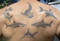 the back of a man with tattoos on his chest and sharks in different sizes,