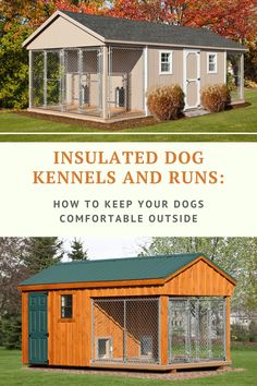 a dog kennel with the words insulated dog kennels and runs how to keep your dogs comfortable outside