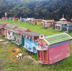 colorfully painted wooden houses in the middle of a grassy area with trees behind them