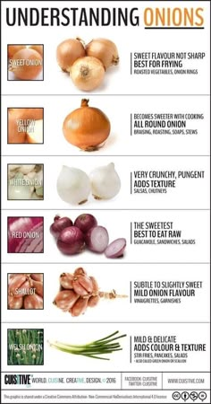 an info sheet with onions and onions on it