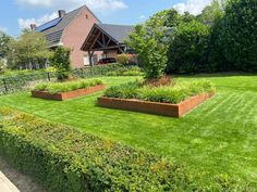 a large yard with many different types of plants in it