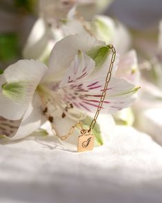 Personalized square charm on a dainty paper clip chain. • Available in Gold filled or Sterling Silver • 8mm square charm • Can be personalized with up to 1 character Diamond Free, Meaningful Jewelry, Tag Necklace, Paper Clip, Ring Bracelet, Personalized Jewelry, Body Jewelry, Ring Earrings, Diamond Jewelry