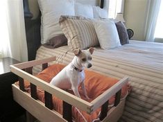 a small white dog sitting on top of a bed in a room with lots of pillows