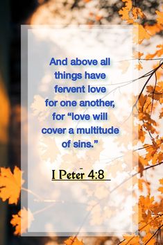 the words peter 4 8 and above all things have fenent love for one another, for