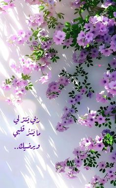 purple flowers and green leaves on a white background with the words in arabic above it