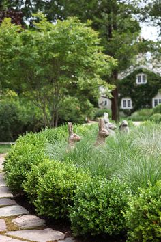 a stone path with bushes and rocks leading to a house