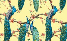 watercolor painting of peacocks on tree branches with flowers in the foreground and yellow background